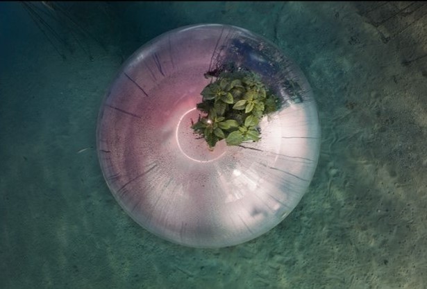 Biosfera-Ocean Galaxy, Italia (2021) Ph. © Luca Locatelli